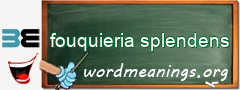 WordMeaning blackboard for fouquieria splendens